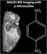 MALDI-MS Imaging with p-Nitroaniline